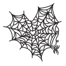 spiderweb heart with spider