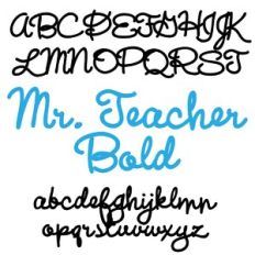 ZP Mr. Teacher Bold
