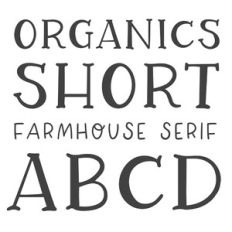 DTC Organics Short Farmhouse Serif Font