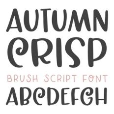 BFC Autumn Crisp Brush Font