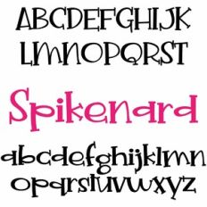 ZP Spikenard