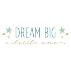 Dream Big Little One