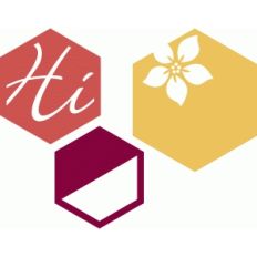 hexagons; hi, flower