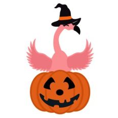 Flamingo In Pumpkin