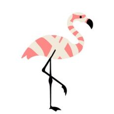Mummy Flamingo