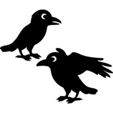 halloween crows