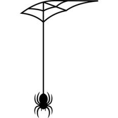 spider and web corner