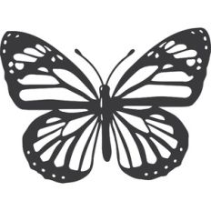 Butterfly: Single Layer