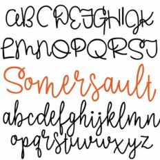 PN Somersault