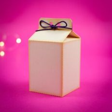 Basic milk box