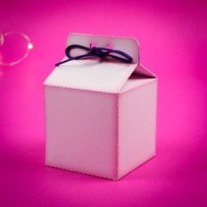 Basic mini milk box