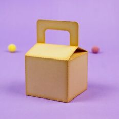 Mini milk box with handle