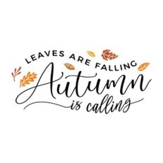 Leaves Are Falling Autumn Is Calling
