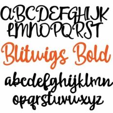 ZP Blitwigs Bold