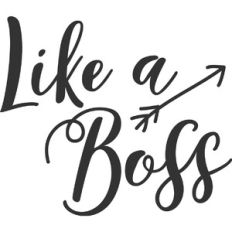 Like a Boss