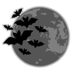 bat and moon