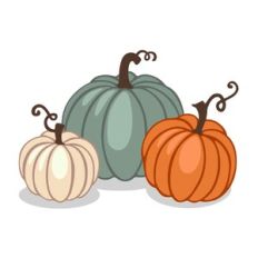 Pumpkin Set