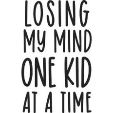 Losing My Mind One Kid at a Time