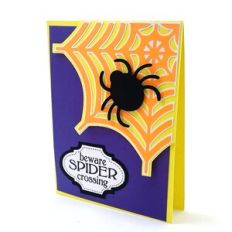 Spider Crossing Double Fold Card
