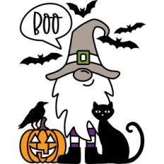Boo Gnome
