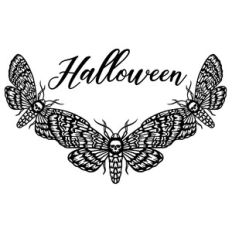 Deaths Head Hawkmoth