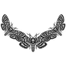 Halloween deaths head hawkmoth