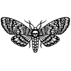 Deaths head hawkmoth insect
