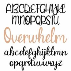 ZP Overwhelm