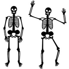 Skeletons for Halloween