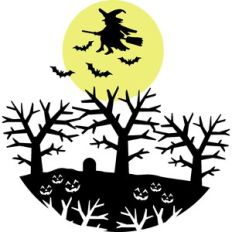 witch on the full moon circle scenery