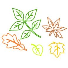 FALL LEAVES OUTLINES