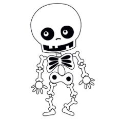 Skeleton