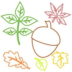 FALL LEAVES AND ACORN OUTLINES