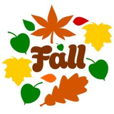 FALL IN LEAVES