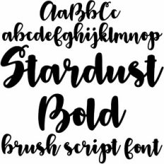 Stardust bold brush script font