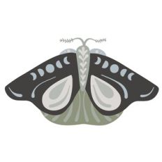 Moon Cycles Moth