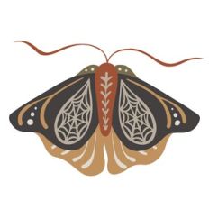Webby Halloween Moth