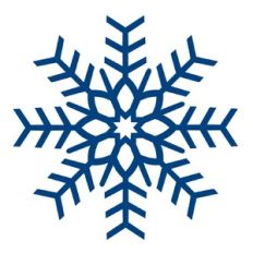 Christmas Snowflake