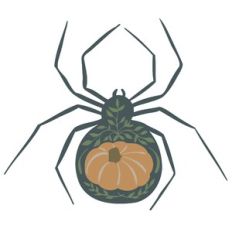 Pumpkin Spider