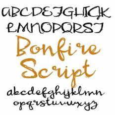 ZP Bonfire Script