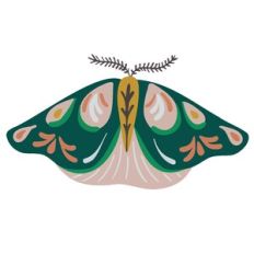 Abigail Moth