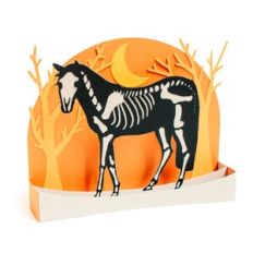 Halloween Skeleton Horse Box Card