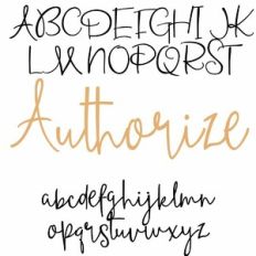 ZP Authorize