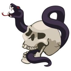 Skull and Snake