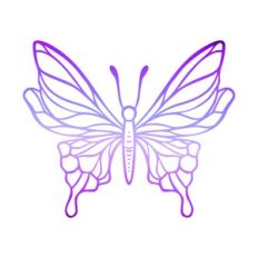 Silhouette butterfly
