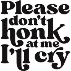 Please Don't Honk at Me I'll Cry
