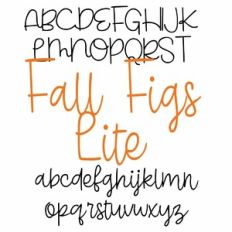 ZP Fall Figs Lite