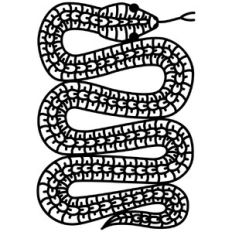 Snake Papercut