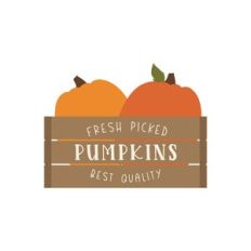 Pumpkin Basket