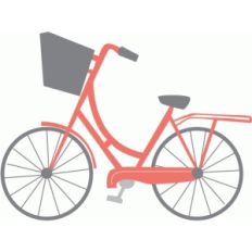 echo park bike
